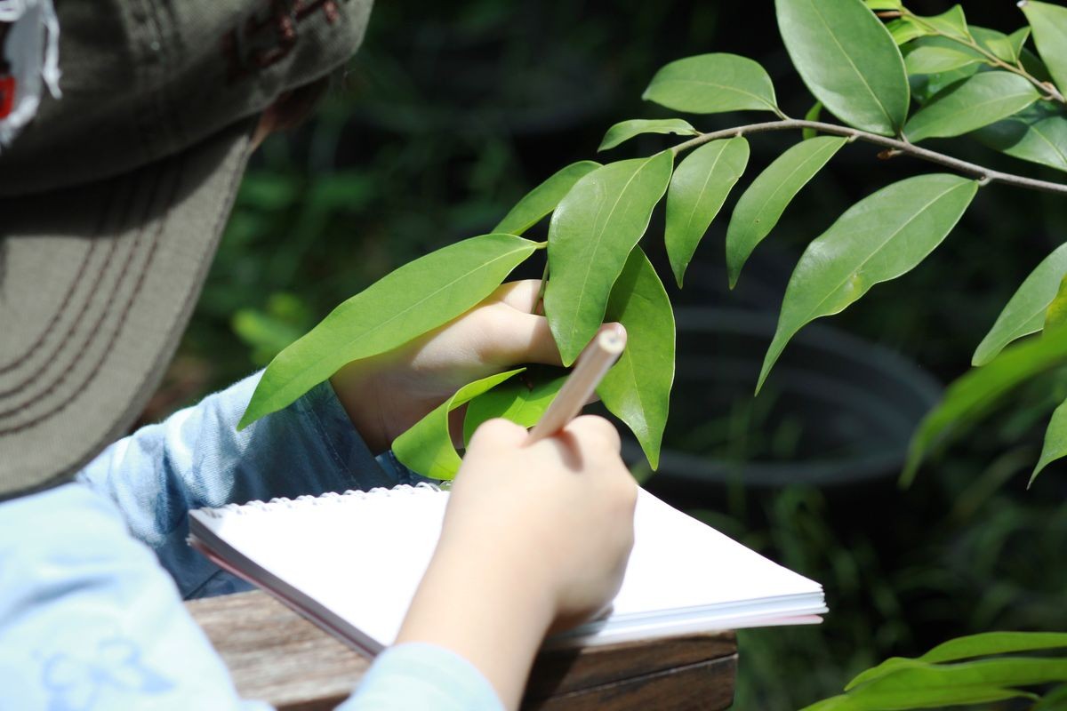5 year old Asian girl in her backyard nature class,looking,observe for the tree components.Girl drawing and take noted what she finding.Nature classroom make independence and self-esteem in children. 