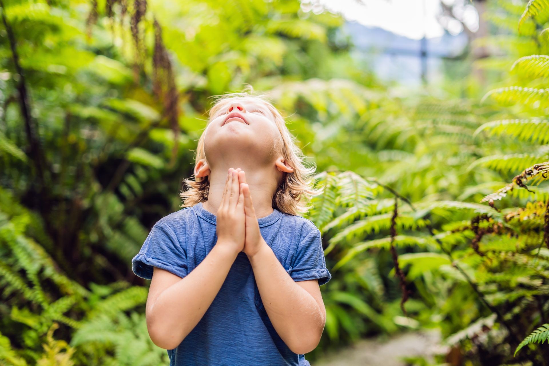 Cute little boy praying in the woods.